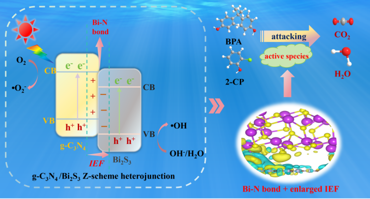 图片4.png 图片4.png